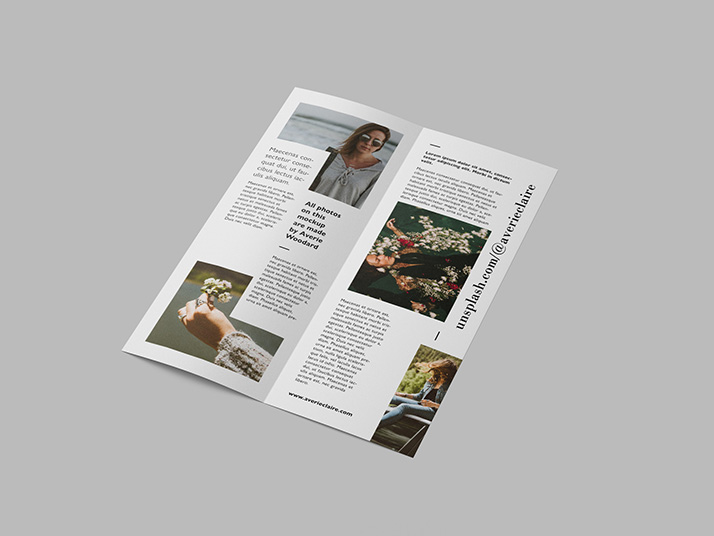 Bi-Fold_LEaflet_2.jpg